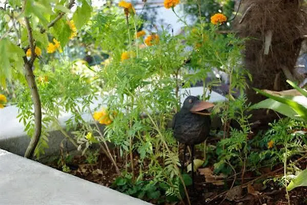 Gea Διαμέρισμα *